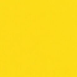 Citrus 1077 - Kona Solids Fabric