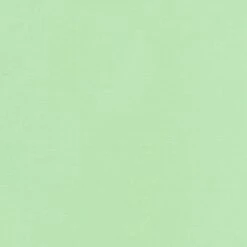 Mint 1234 - Kona Solids Fabric