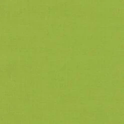 Sprout 254 - Kona Solids Fabric