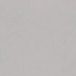 Ash 1007 - Kona Solids Fabric