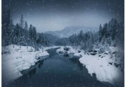 Call Of Wild River Rock Panel