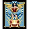 DC Comics Wonder Woman 1084 Panel