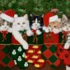 Christmas Stocking Kitties Panel -THE QUILT SHOP cce0c5 f8feeace42e44024ac926a47a5a26a30mv2