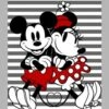 Disney Mickey And Minnie Mouse Panel