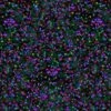 Aurora Borealis X-Mas Lights Fabric -THE QUILT SHOP multi aurora borealis xmas lights fabric 1