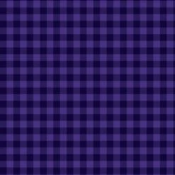 Buffalo Check Purple And Black Fabric